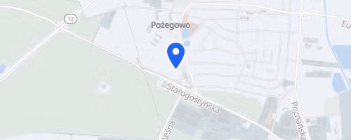 Bieg Nasza Dycha Gostyn