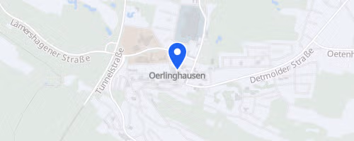 55. Weihnachtslauf Lipperreihe