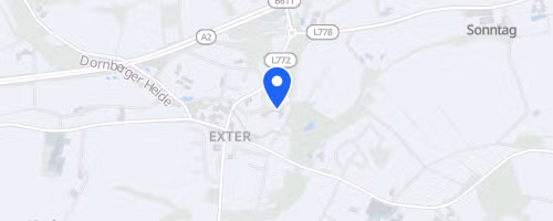 Exter FlexRun! 2026