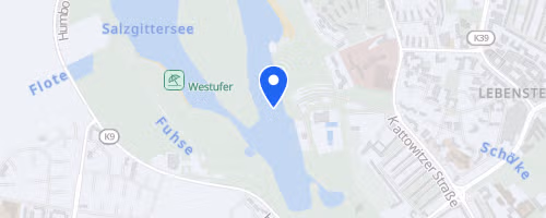 Stiftungslauf Salzgitter