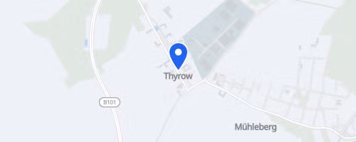 Thyrower Waldlauf