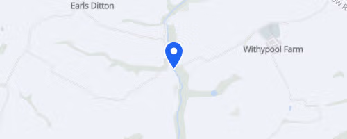 Orbit Fitness, Running & Yoga Festival