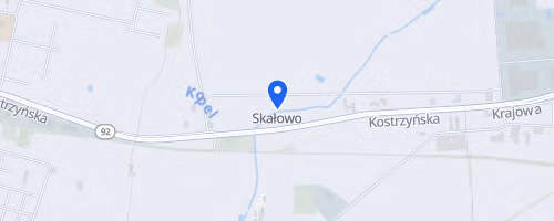 Dziki Bieg W Lesie w Skałowie