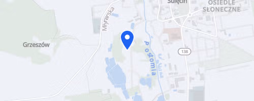 XXVI Memorial Stanislawa Ozoga X Mistrzostwa Sulecina w Biegu na 10 Km