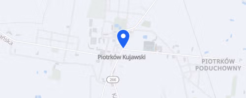 Piotrkowski Bieg Bankowy
