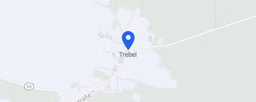 Lauf durch die Nemitzer Heide