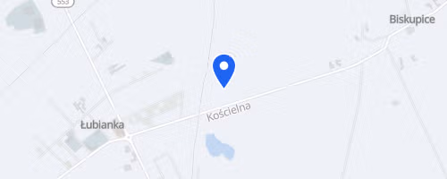 Bieg Czerwcowy - Gmina Łubianka