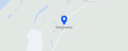 Bieg Uliczny Dąbrowa Chełmińska - Ostromecko