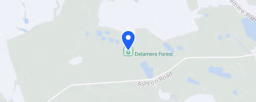 Delamere Forest Wildwood Trail Series