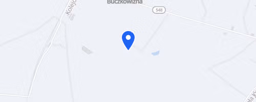 Lisewski Bieg Jaszczurczy