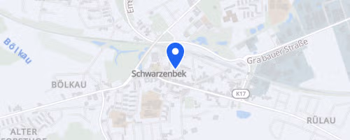 SachsenwaldLauf