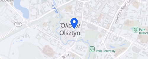 XXIX Marszobieg Olsztyński