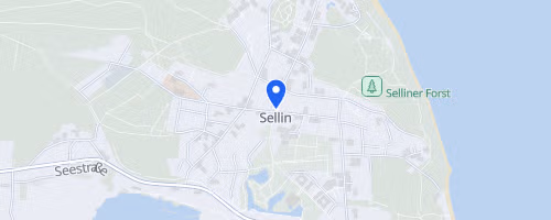 Selliner Seebrückenlauf - Lauf II