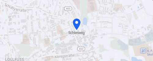 Viking Bike Challenge Rund um die Schlei