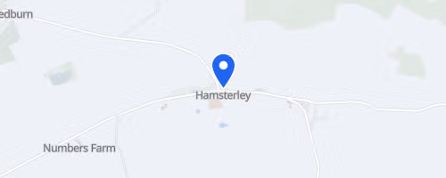 Hamsterley Forest Trail Run