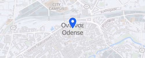 Odense City Half