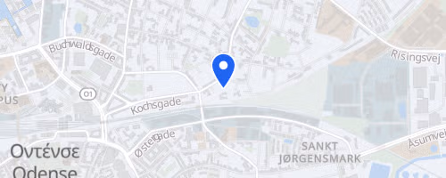 Mud Race - Odense