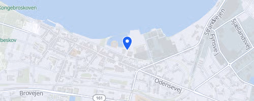 The Funen Challenge - The self-governing institution H. C. Andersen Marathon