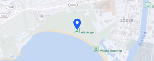 Vårruset