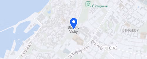 Blodomloppet (Visby)