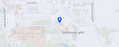 Å-stadsloppet