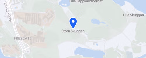 Convinistafetten
