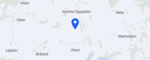 Oppdalskarusellen 4. løp