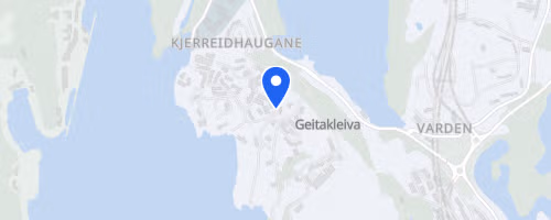 Bjørgene Løpskarusell 3. Løp