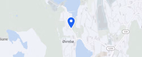 Lyderhorn opp
