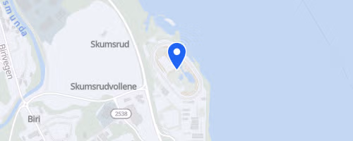 Mesnaelva opp