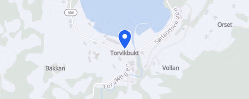 Torvikbukt rundt 2026