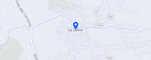 Foulée De La Cote Ouest - La Saline
