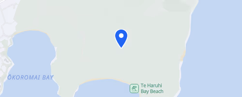 Auckland Trail Run & Walk - Shakespear Regional Park