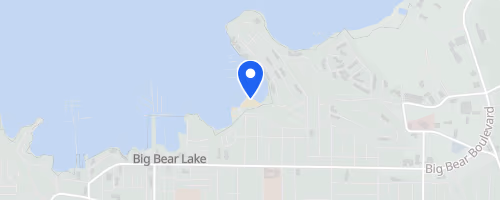 Swim the Bear