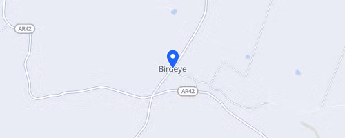 Birdeye