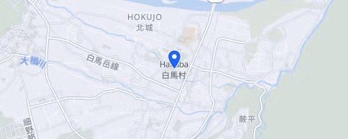 第29回白馬スノーハープクロスカントリー大会 兼 全国小学生クロスカントリー駅伝（リレー）交流大会