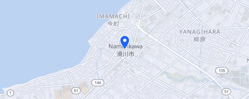 Namerikawa Firefly Squid Marathon