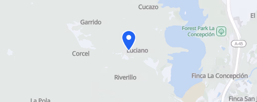 Ponle Freno Málaga 5k