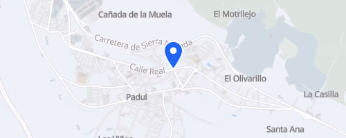Marcha por una Meta sin Diabetes