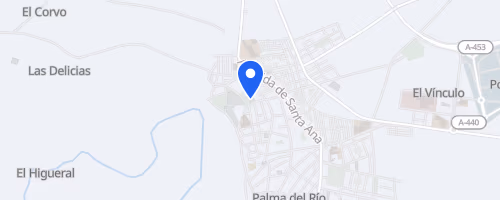 Carrera Nocturna Palma del Río