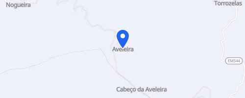 Caminhada em Movimento