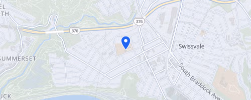 The Swissvale Mile: Race and Family & Dog Walk