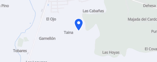 Carrera Nocturna Guadalajara