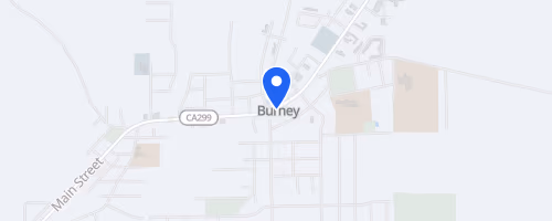 Burney Basin Days