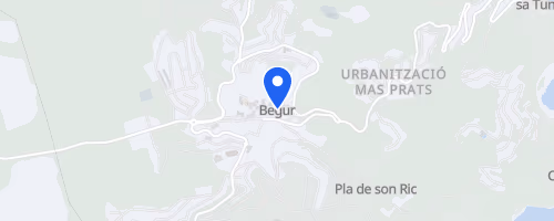 Marxa Popular Puja i Baixa