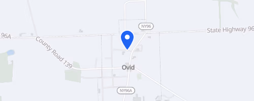 The Ovid Strawberry Festival 5K