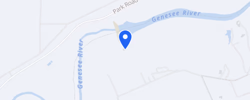 Many On The Genny