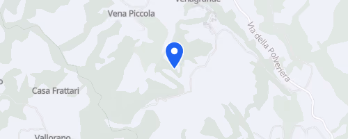 X^ Mezza Maratona di Ascoli