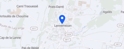 Les foulées du plateau - Lannemezan