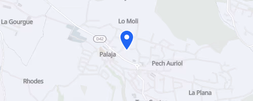 La trace du sanglier VTT - Palaja